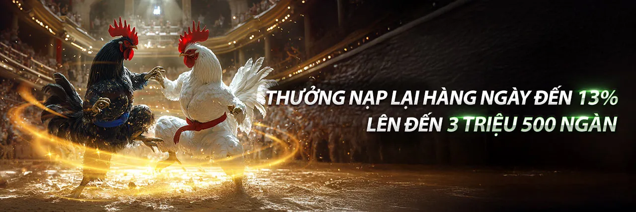 Tin tức FCB8 mới nhất 2026