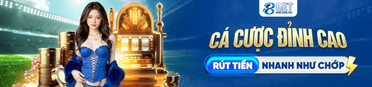 FCB8 GDPR - Bảo vệ dữ liệu và quyền riêng tư của người dùng